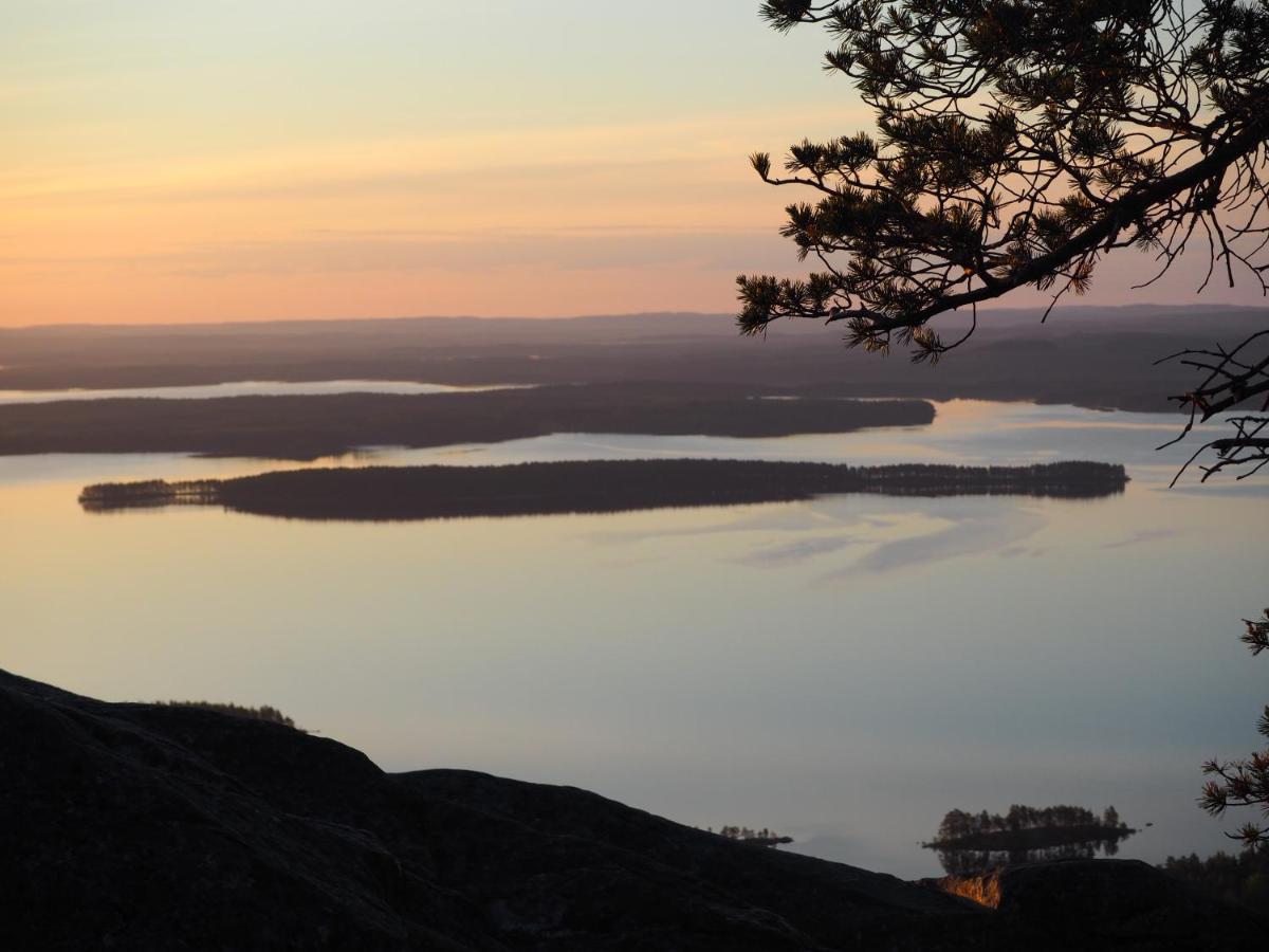 Aava Koli Villa Koli  Bagian luar foto